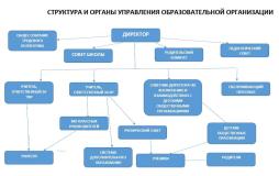 Структура и органы управления образовательной организации